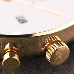 Chrono Gold Steel