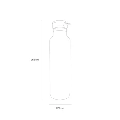 Water Bottle Muted Rose